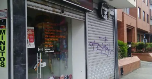 PELUDITOS BOGOTÁ PELUDITOS BOGOTÁ
